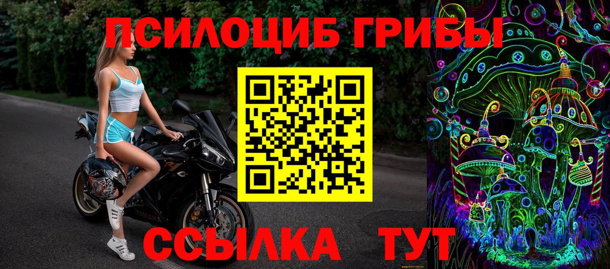 Шатура  Псилоцибиновые грибы Psilocybe  дарнет шоп  Вход с VPN  Галлюциногенные грибы GOLDEN TEACHER 