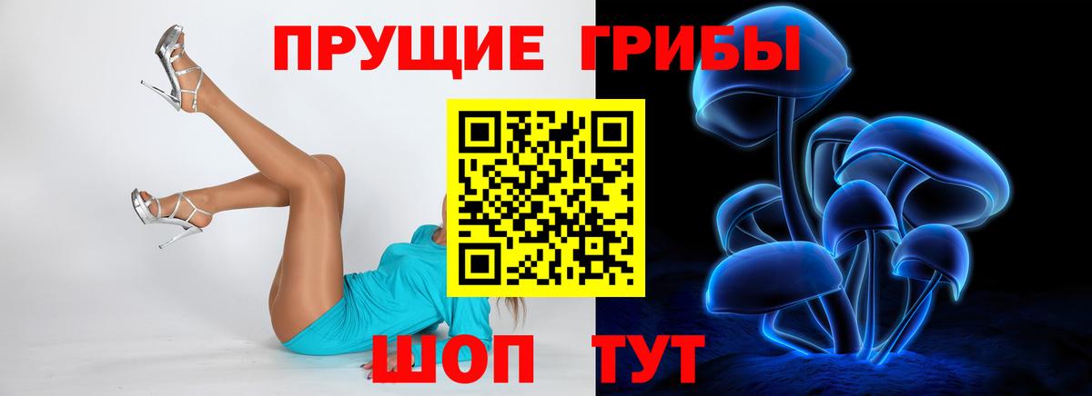 Галлюциногенные грибы MAGIC MUSHROOMS Шатура
